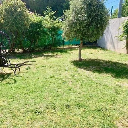 La Tranquillle - Villa With Garden In Montpellier!-3